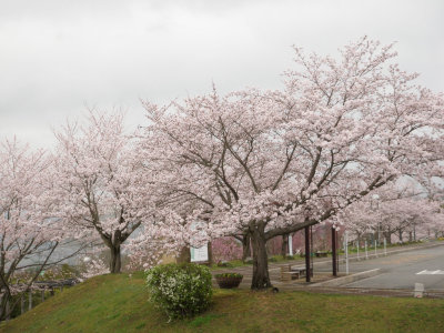20160404s.jpg